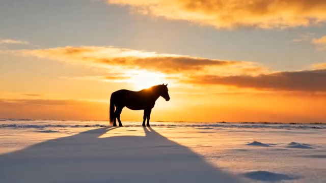  雪夜村庄月光夜景2703#横屏 	 