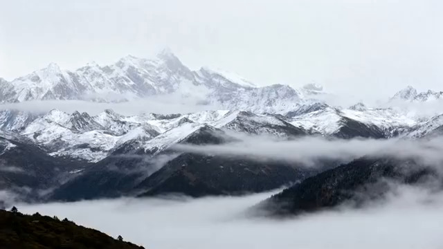  雪山之巅的雪豹2698#横屏 	 