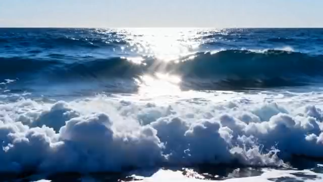 雏菊盛开的自然场景4108#横