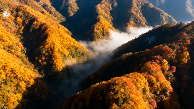  秋日山峦云海航拍1790#横屏 	 