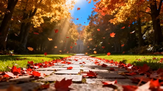  秋日落叶石板路阳光1787#横屏 	 