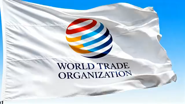 WTO飘扬视频素材10#横屏 