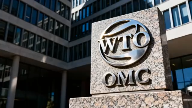 WTO标志特写9#横屏 
