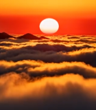 云海之上的日落景象2562#横屏 