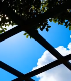 仰视天空下的绿植与网格结构5288#横屏 