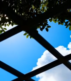 仰视天空下的绿植与网格结构5288#横屏 