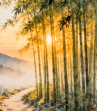 	 竹林晨曦自然风光素材13669#横屏 