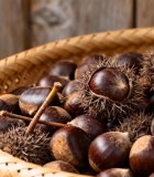 月夜下树林中的满月景象8078#横屏 