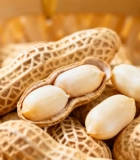 圆形建筑屋顶停车场夜景5843#横屏 