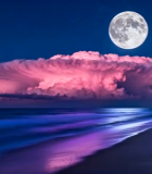 	 月夜下的海边美景11114#横屏 