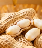 圆形水池工业设备场景8072#横屏 