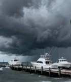 只和棕榈树7031#横屏 