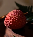 荔枝静物特写10677#横屏 