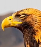 教师手持纸张站在黑板前4784#横屏 