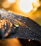 阳光下带水珠的黑色雨伞6232#横屏 