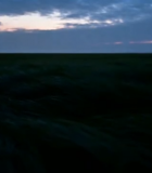 黄昏时分草原风光14123#横屏 