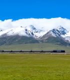 雪山草原间行驶的火车13378#横屏 