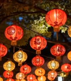 悬挂的中式传统红灯笼206#横屏 