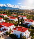 红顶别墅群鸟瞰全景10953#横屏 