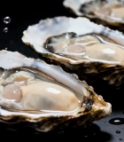 新鲜生蚝特写4859#横屏 