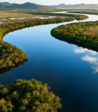 	 河流湿地森林自然风光俯瞰6057#横屏 