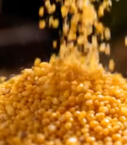 小米洒落特写素材10572#横屏 