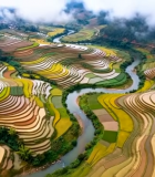 航拍梯田自然风光2132#横屏 