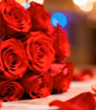红玫瑰花束特写3829#横屏 