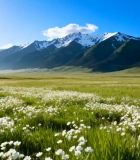 新疆草原雪山自然风光13090#横屏 