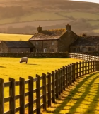 乡村牧场田园风光3746#横屏 