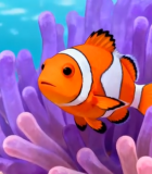 海底小丑鱼与珊瑚素材8224#横屏 