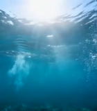 	 海底阳光透过海水画面8481#横屏 