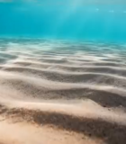 海底沙滩海水景象2086#横屏 