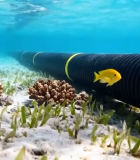 海底管道及周边珊瑚海草景观595#横屏 