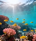 	 海底珊瑚礁与鱼群景象(2)5773#横屏 