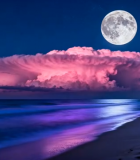 海边月夜景色5286#横屏 