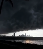 海边乌云下的城市与棕榈树143#横屏 