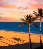 海边日落棕榈树风景7348#横屏 