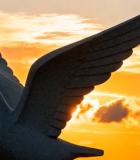 夕阳下展翅的鸽子雕塑8445#横屏 