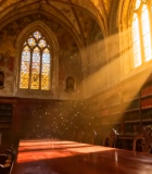 古典风格图书馆内景4763#横屏 