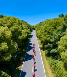 公路骑行队伍穿行森林4183#横屏 