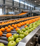 工厂水果流水线输送画面14497#横屏 