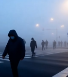 雾中行人过马路场景648#横屏 