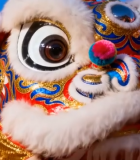 舞狮头特写 背景红灯笼1736#横屏 