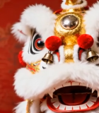 舞狮头特写素材4803#横屏 