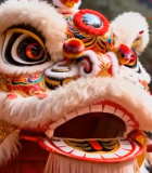 舞狮表演特写素材(2)7861#横屏 