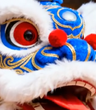 舞狮头部特写10573#横屏 
