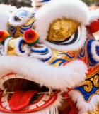 舞狮表演特写素材(1)7054#横屏 