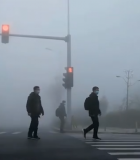 雾霾天气行人过马路场景10469#横屏 