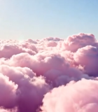 高空俯瞰粉色云海景观7553#横屏 